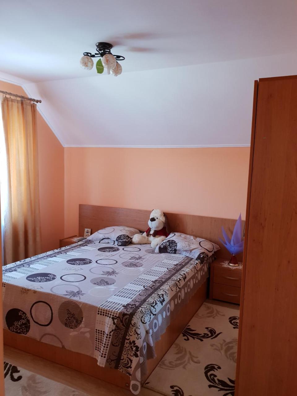 Villa Steluta Călimăneşti Habitación foto